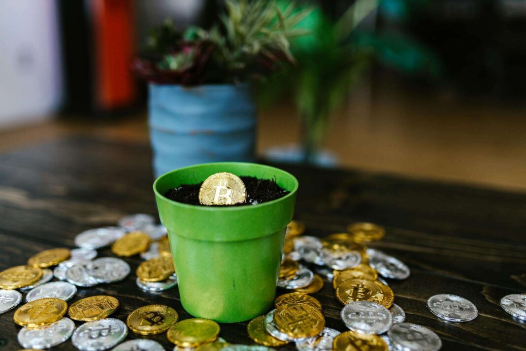 Top 10 Altcoins Cryptocurrency With Highest Crypto Growth Potential for Investors