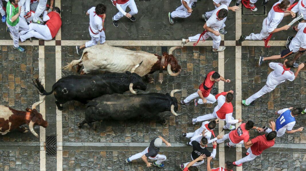 What Is a Crypto Bull Run Cryptocurrency Cycle and How to Position Yourself to Profit