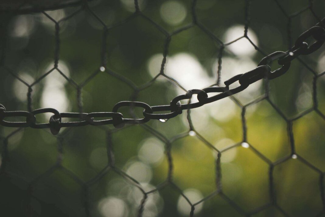 What Is Chainlink Cryptocurrency and Why LINK Crypto Could Be the Best Altcoin to Buy